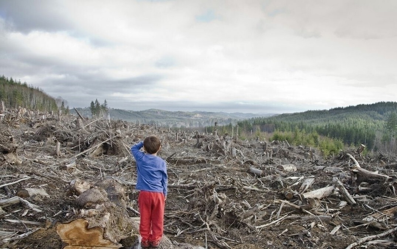 Опасное законодательство — шаг к глобальной катастрофе